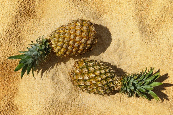 Ananasy Leżąc Plaży Bliska — Zdjęcie stockowe