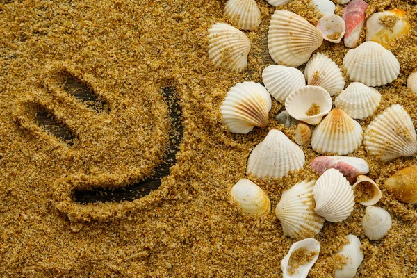 Черепашки Драпірування Посмішка Піску — стокове фото