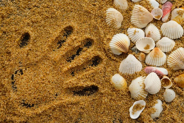 Sfondo Con Conchiglie Traccia Mano Umana Sulla Sabbia — Foto Stock