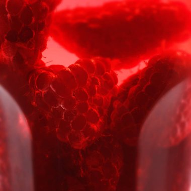 Bir cam ahududu içkiyle görünümünü yakın çekim