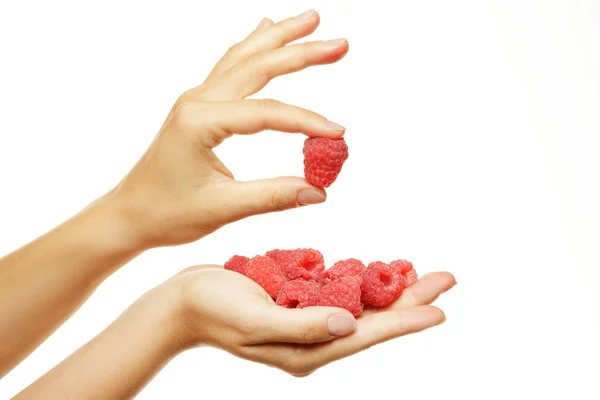 Female Hands Raspberries White Background — Stock Photo, Image