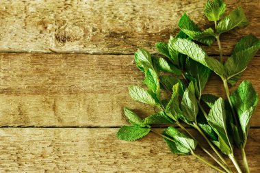 Ahşap masa üzerinde taze yeşil nane demet