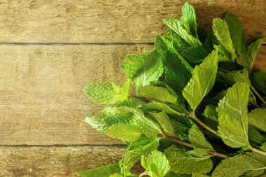 Ahşap masa üzerinde taze yeşil nane demet