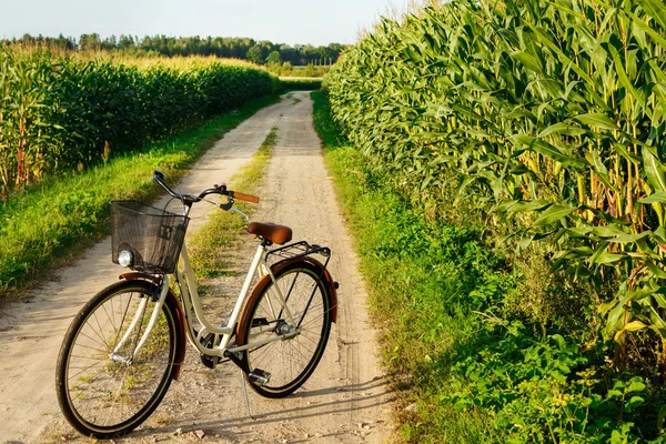 Klassisk Stil Cykel Landsväg Sädesfält — Stockfoto