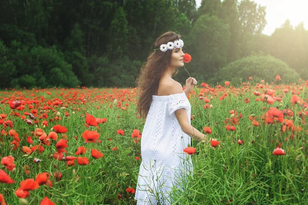 Mulher bonita no campo com um monte de flores de papoula — Fotografia de Stock