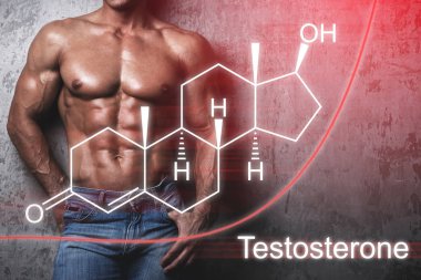 Kas erkek vücudu ve testosteron hormonu formülü 