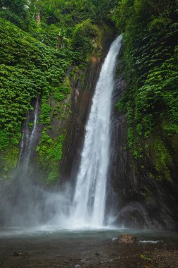 Hava Terjun Munduk şelalesi. Bali adası, Endonezya.
