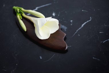 Gua Sha masajı için ahşap kazıyıcı aracı