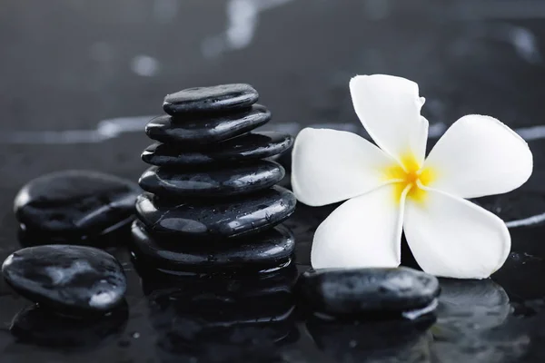 Plumeria blomma och Spa stenar — Stockfoto