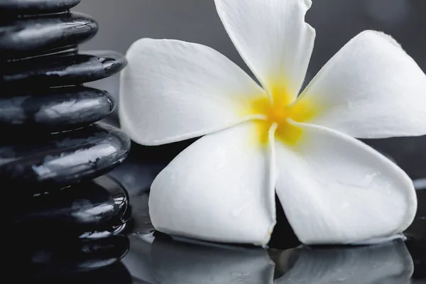 Plumeria blomma och Spa stenar — Stockfoto