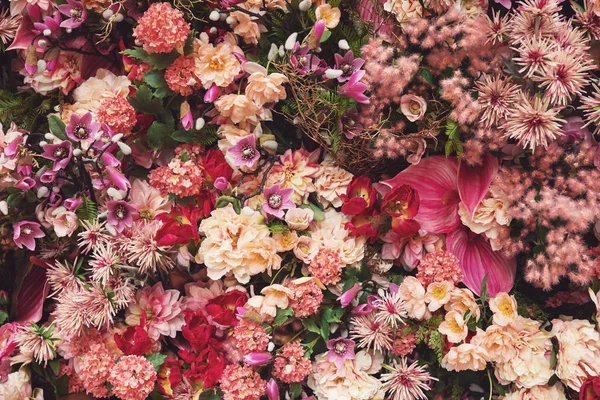 Bakgrund med många olika vackra blommor — Stockfoto