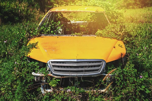 Oude auto in het struikgewas van gras — Stockfoto