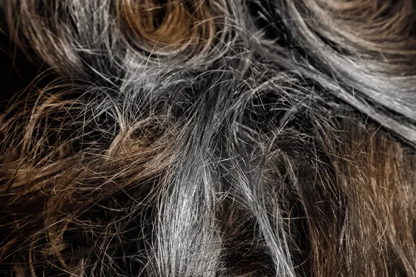 Przedwczesne siwienie włosów lub koncepcji starzenia — Zdjęcie stockowe