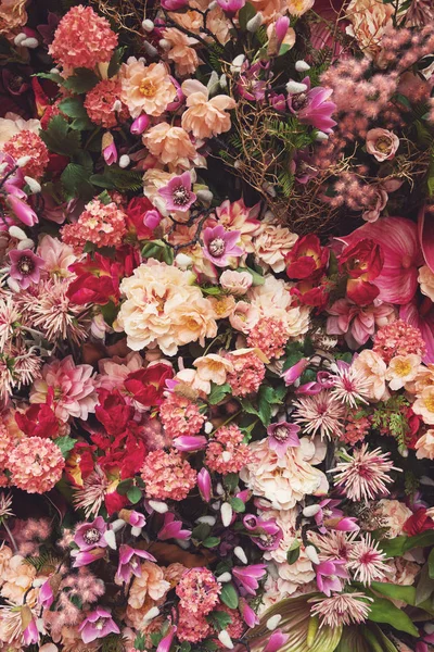 Bakgrund med många olika vackra blommor — Stockfoto