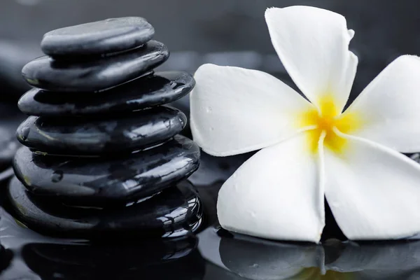 Plumeria blomma och Spa stenar — Stockfoto