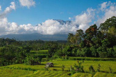 Dağ manzarası çok güzel Agung. Bali, Endonezya.