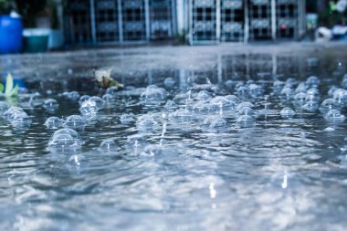 Su damla yağmur ve bulanıklık ile arka plan. (vintage)