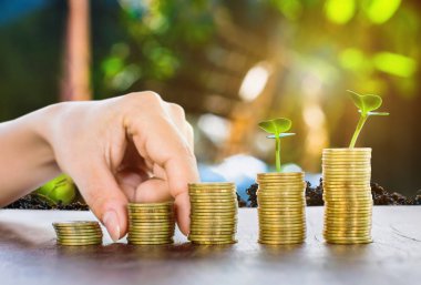 iş büyüme için para sikke