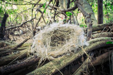 Paskalya yumurtaları tavşan sevimli yaratıcı