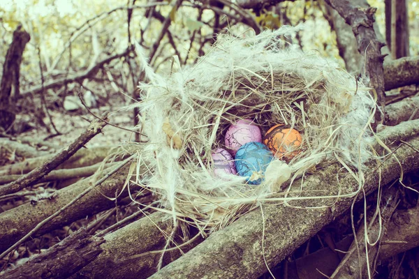 Paskalya Yumurtaları Tavşan Sevimli Yaratıcı — Stok fotoğraf