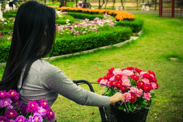 eski Klasik Bisiklet Park 