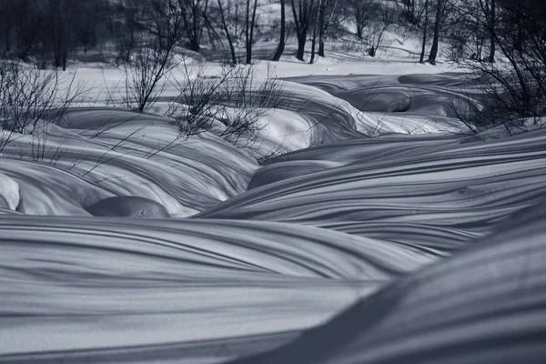 Drawing lines in the snow. The Nature Of Siberia.