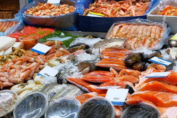 新鲜海鲜的分类 三文鱼 不同色调的鱿鱼 反鱼市场 — 图库照片