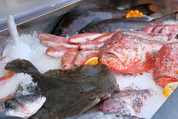 Sortimento Peixes Frescos Brilhantes Diferentes Matizes Gelo Mercado Peixe — Fotografia de Stock