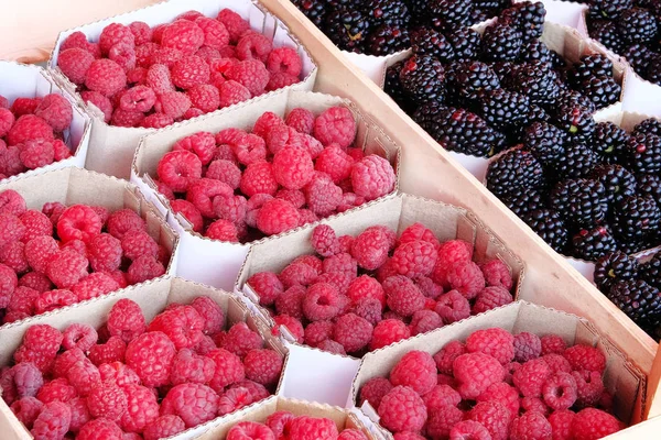 Vakken Met Blackberry Framboos Uit Boerenmarkt Gezonde Lokale Natuurvoeding Zomer — Stockfoto