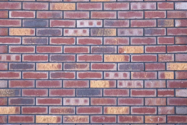 Colorful brick wall texture urban background