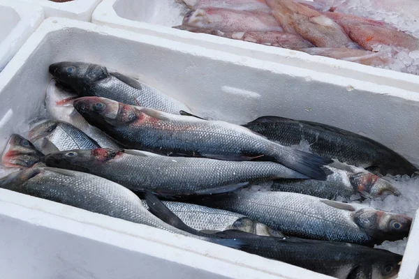 Frischen Fisch und Tintenfisch in Containern. Fischmarkt. — Stockfoto