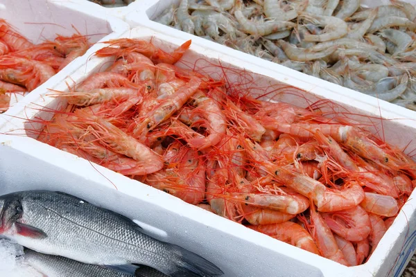 Verse garnalen en zeebaars in containers. Vismarkt. — Stockfoto