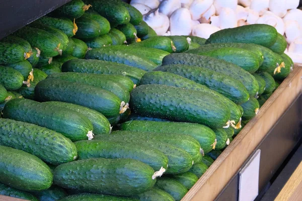 Veel rijp verse groene komkommers zijn verkocht bij plantaardige shop. Komkommers liggen op plank in supermarkt. — Stockfoto