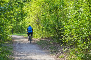 Adam bisikletçi koruyucu, dişli e-park sokakta ağaçları arasında yaz gününde Bisiklete binmek. Arkadan görünüm.
