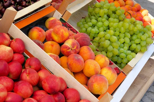 Persikor, aprikoser, vita druvor och nektarin från Medelhavet jordbrukarna marknaden. Hälsosamma lokala ekologiska livsmedel sommarmarknad. — Stockfoto