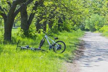 Spor bisiklet road, arka plan, ağaçlarda yakınındaki doğada hiçbir insan renklerle yaz.