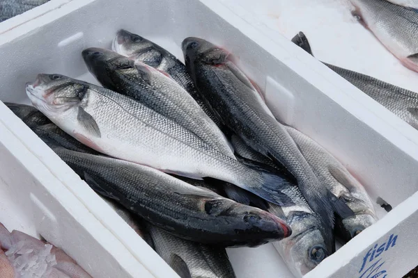 Frischen Fisch und Tintenfisch in Containern. Fischmarkt. — Stockfoto