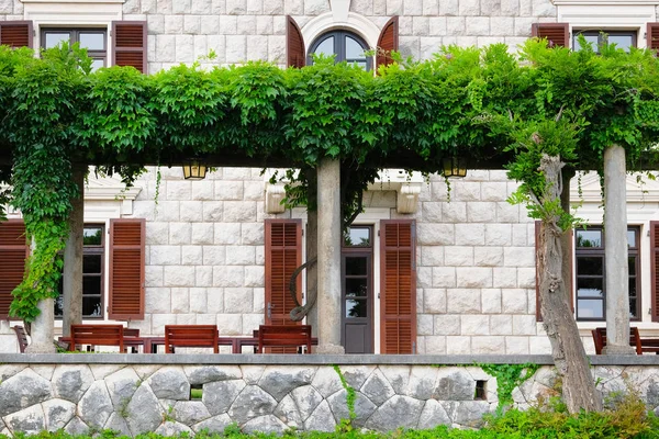 Пергола с зелеными растениями перед отелем на средиземноморском побережье. Ландшафтный дизайн и оформление внешнего вида отеля . — стоковое фото