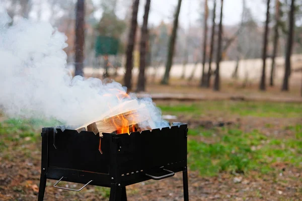 Grill mit brennendem Brennholz. Holzfeuer zum Grillen vorbereitet. Grillsaison in der Natur eröffnet. — Stockfoto