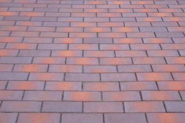 Kırmızı kaldırım levhası, arka plan. Gün ışığında parkta yaya bölgesi. Kentsel kaldırım.