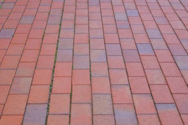 Kırmızı kaldırım levhası, arka plan. Gün ışığında parkta yaya bölgesi. Geçit.