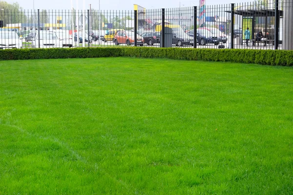 Lawn in summer city. Green grass of lawn has recently been cut and watered. Ecological environment in city.