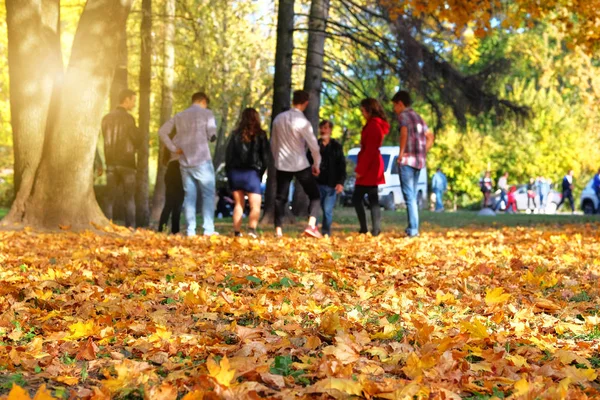 Autumn city park. Young people is walking in park in warm sunny autumn day. Golden fall leaves.