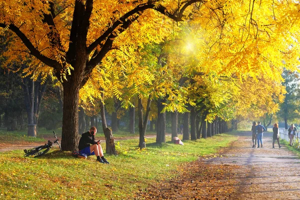 Autumn city park ruelle. Homme sportif à vélo le jour de l'automne se repose sous un arbre. Journée ensoleillée, temps chaud . — Photo