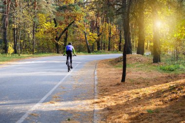 Bisikletçi sonbaharda kozalaklı ormanda koruyucu . Birçok ağaç arasında güneşli bir günde bisiklete binmek. Sağlıklı yaşam tarzı. Spor ve aktif yaşam konsepti.