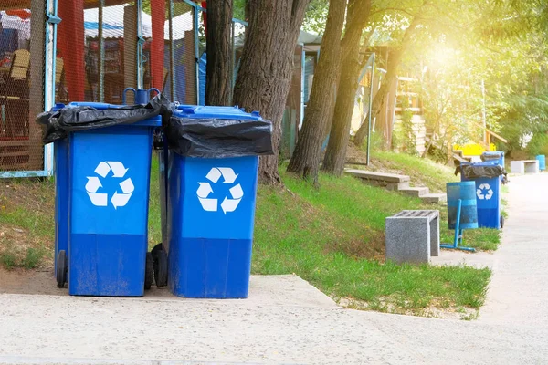Garbage collection. Blue containers for further processing of garbage.  Waste recycling concept. Sunshine.