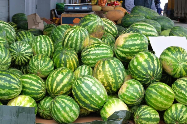 Watermeloenen worden na de oogst op de lokale boerenmarkt verkocht. Gezond eten en vitaminen. Herfst oogst en landbouw. — Stockfoto