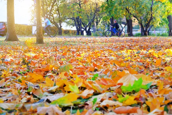 Parc d'automne en ville. Septembre, octobre, novembre, été indien. Paysage d'automne coloré . — Photo