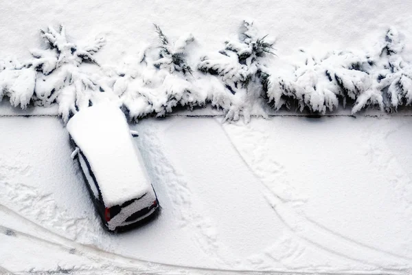 Paesaggio Invernale Nel Parcheggio Zona Residenziale Inverno Città Alberi Gelo — Foto Stock