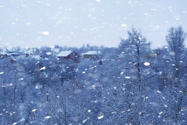 Noel karlı havası. Kışın kar fırtınası. Kar taneleri havada uçar.